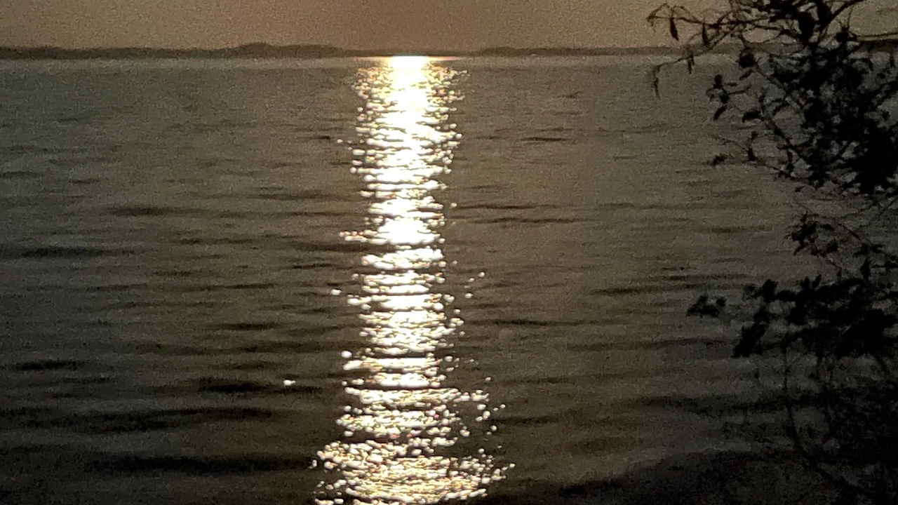 Photo of Others in Searsport