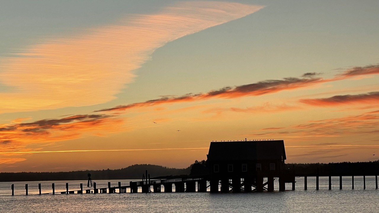 Photo of Others in Garibaldi