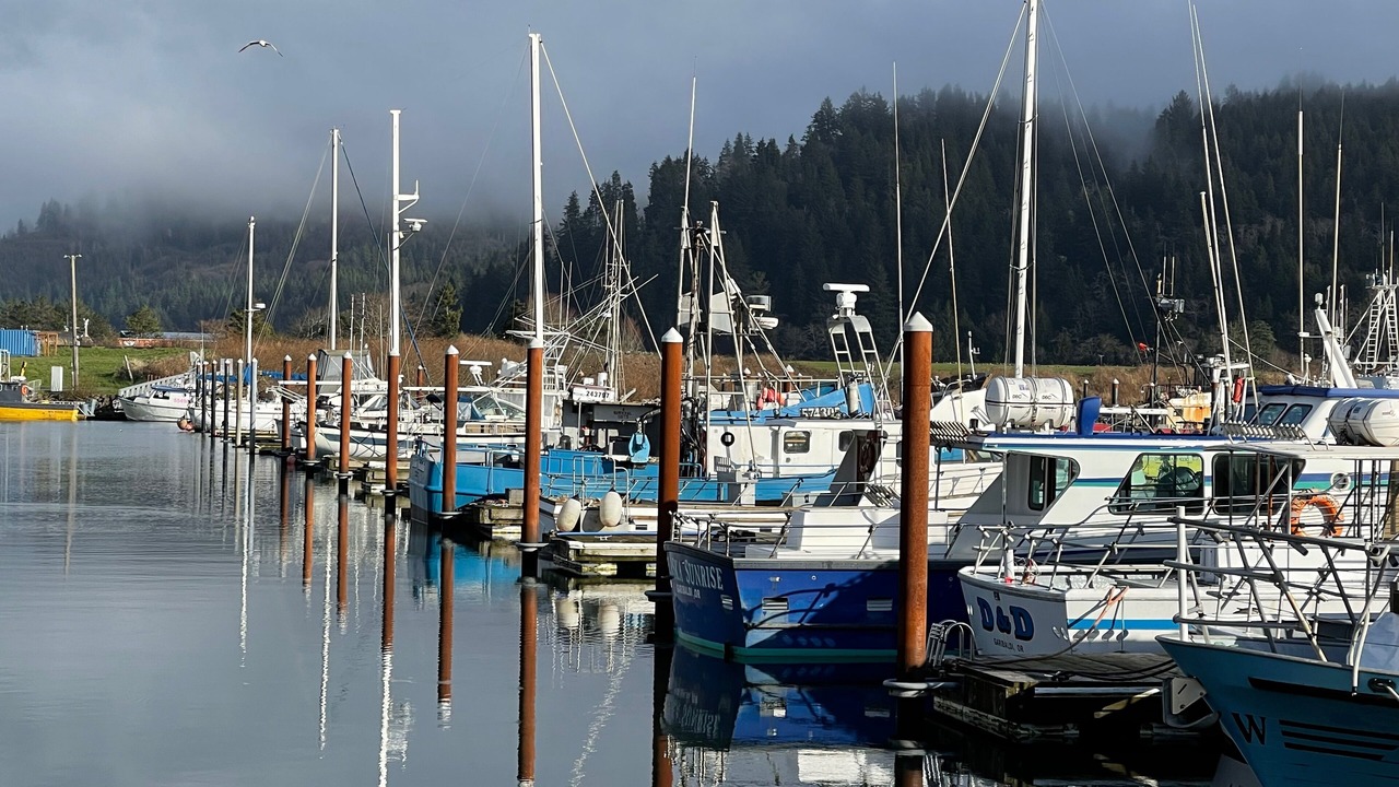 Photo of Others in Garibaldi