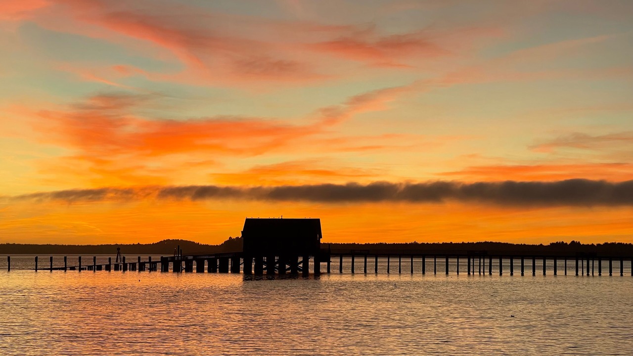 Photo of Others in Garibaldi