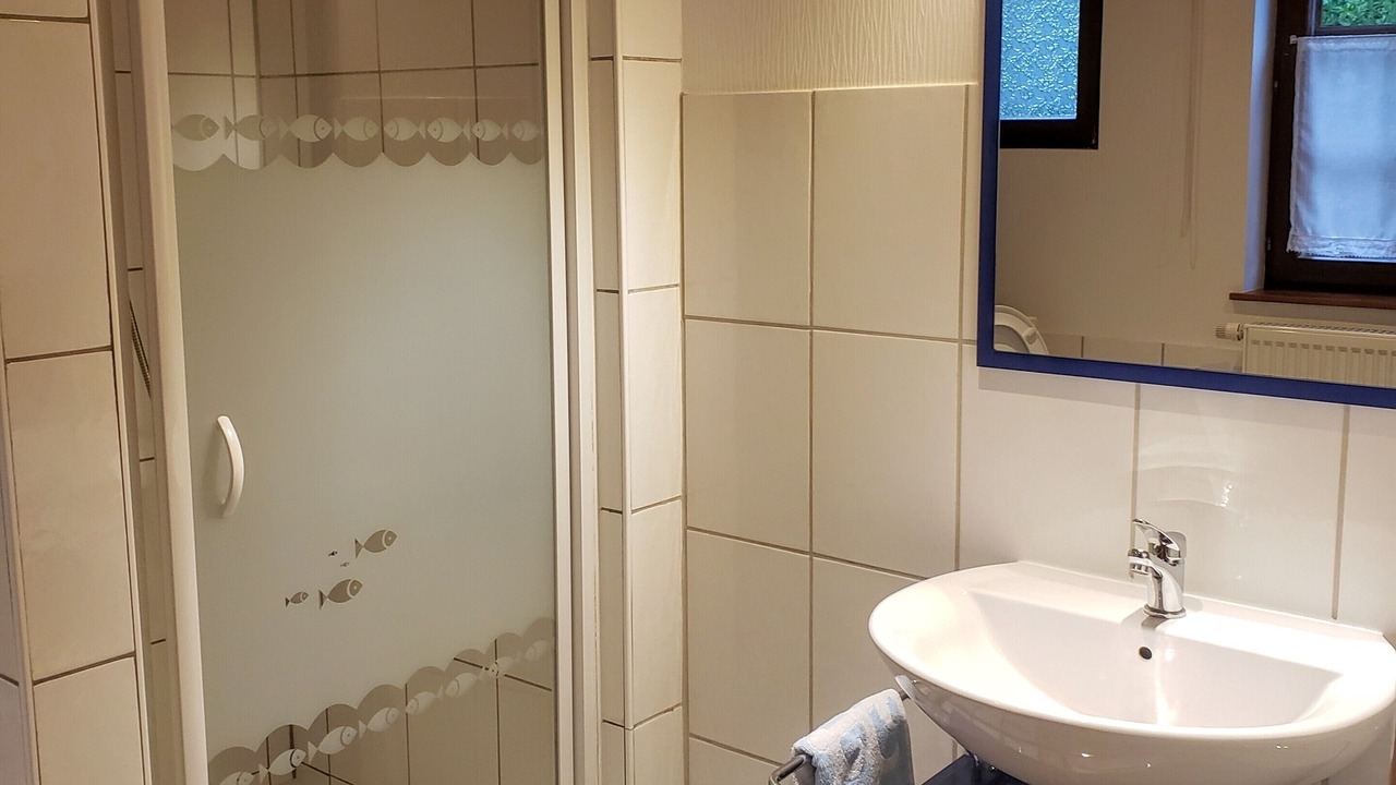 Photo of Bathroom in Langensoultzbach