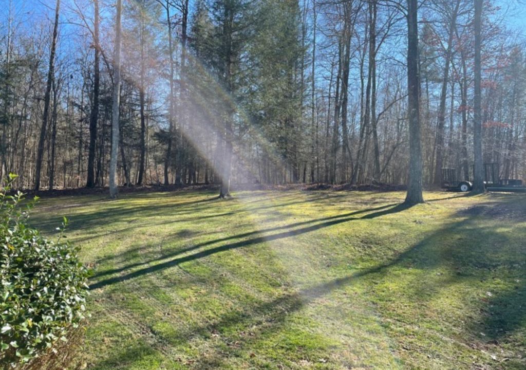 Photo of Outdoor in Bristol