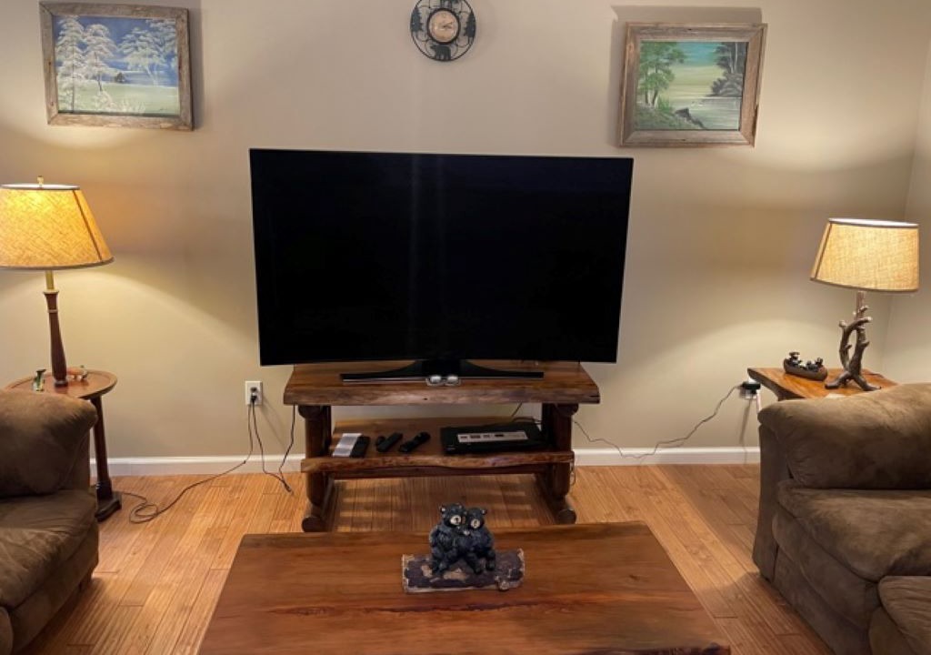 Photo of Livingroom in Bristol