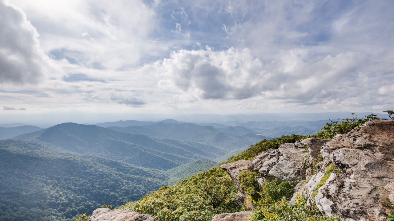 Photo of Others in Candler