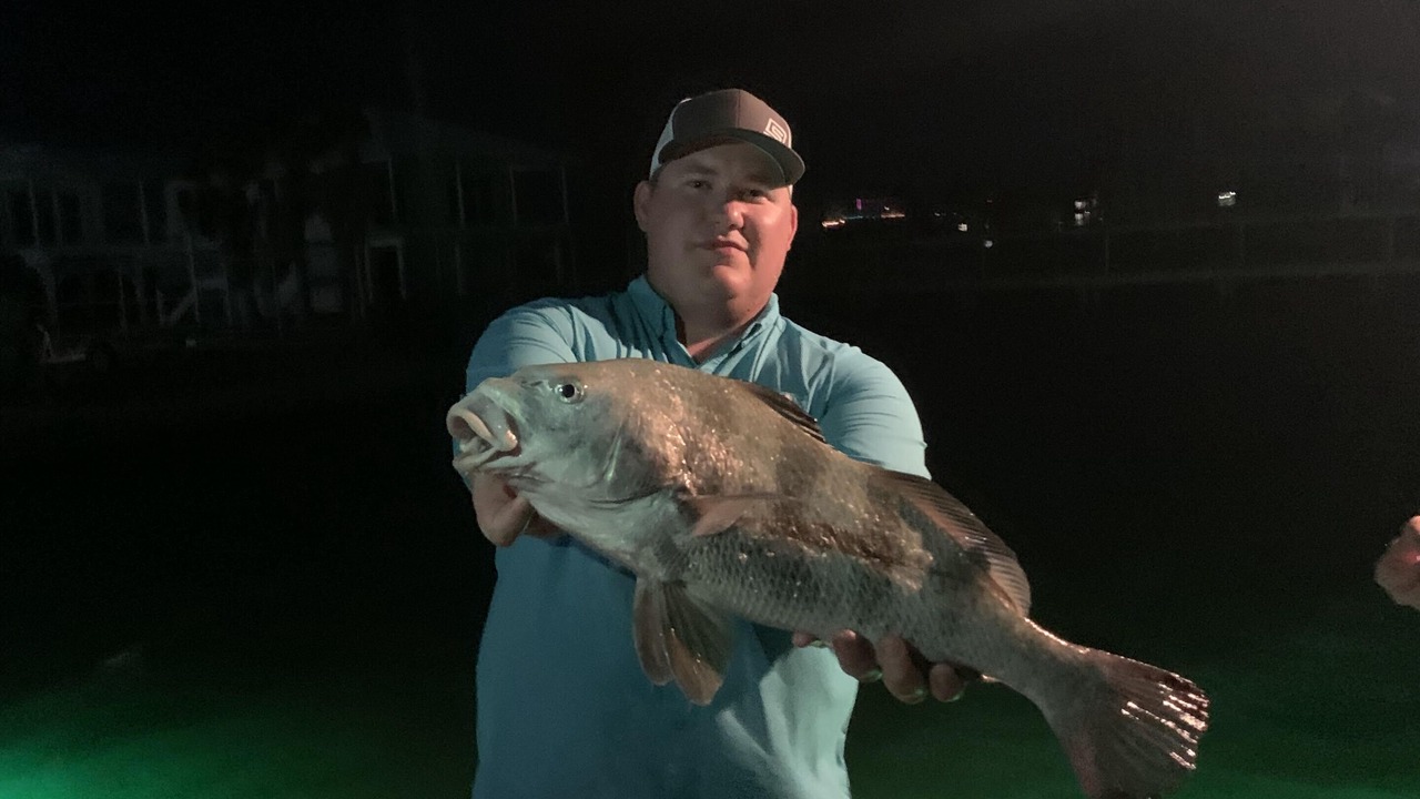 Photo of Others in Rockport
