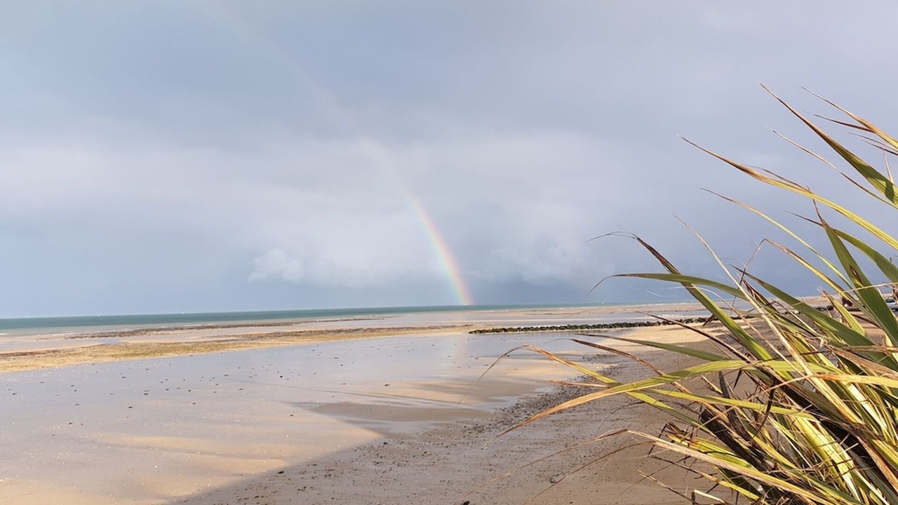 Photo of Others in Ver-sur-Mer