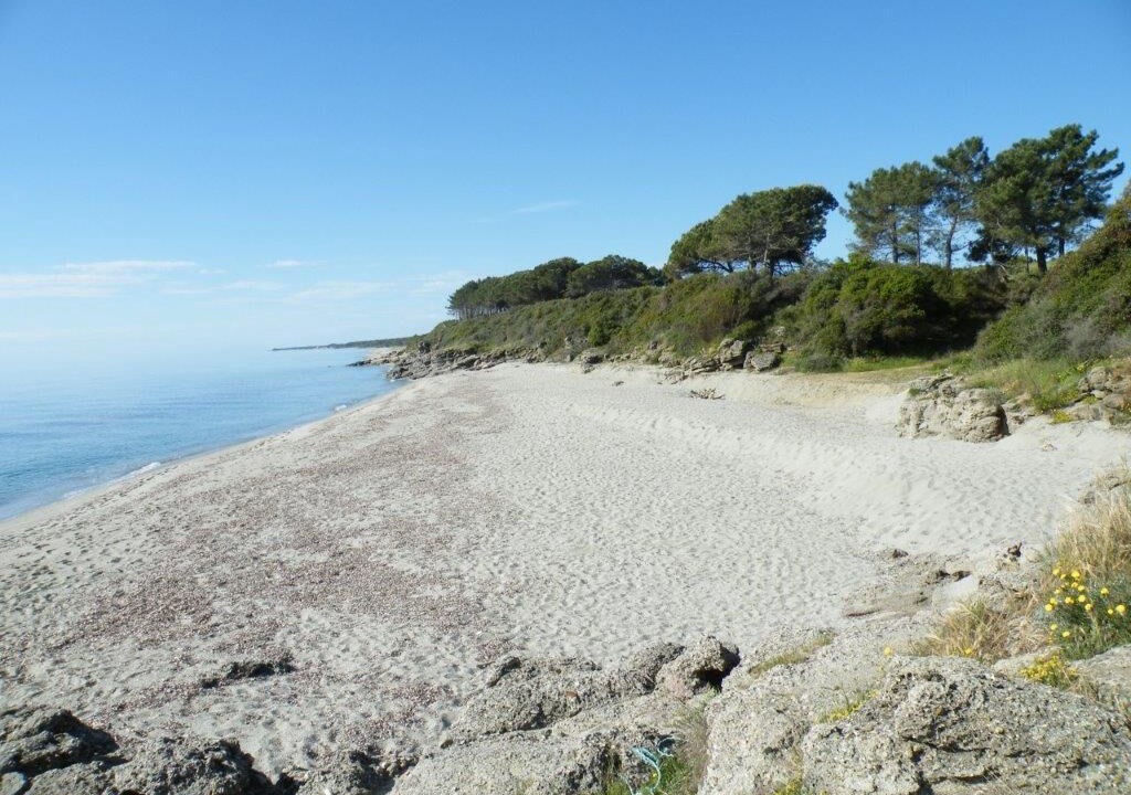 Photo of Others in Linguizzetta