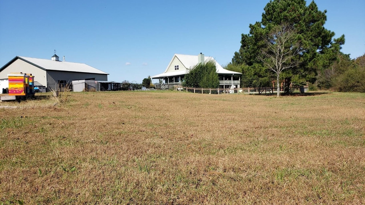 Photo of Outdoor in Centre