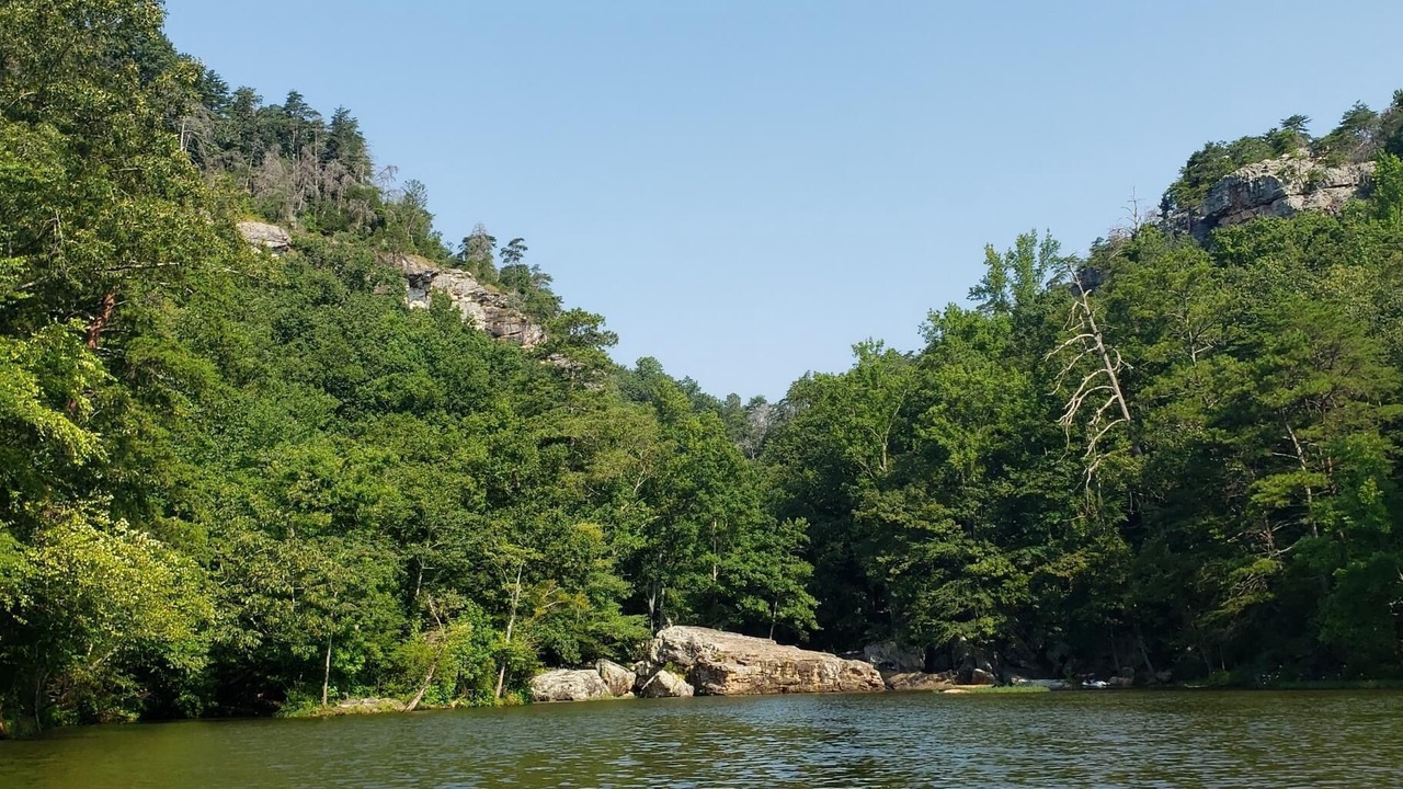 Photo of Others in Centre