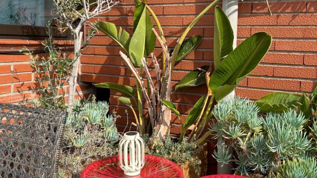 Photo of Outdoor in el Camp d'en Grassot i Gracia Nova