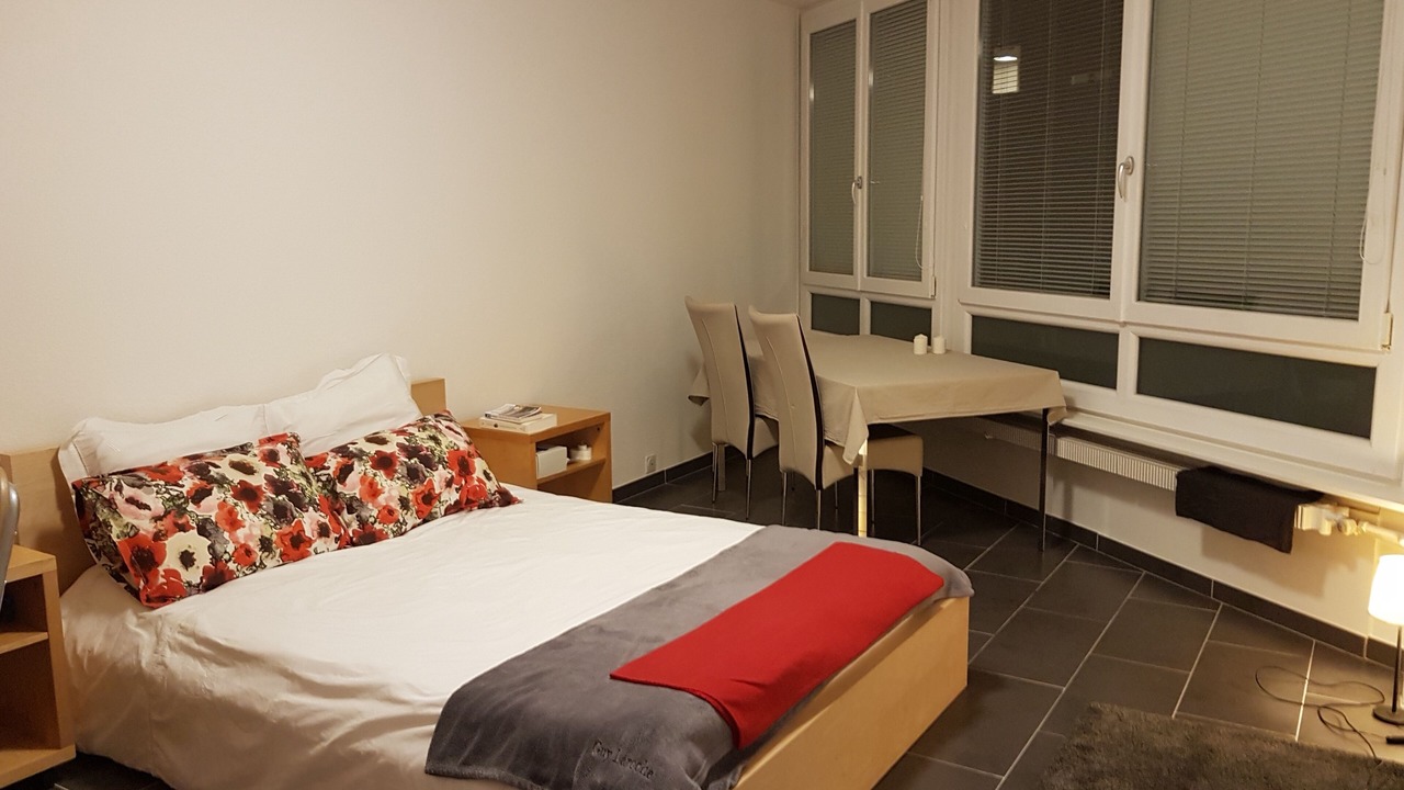 Photo of Bedroom in Downtown Geneva