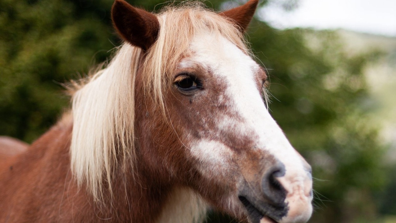 Photo of Bathroom in Segus