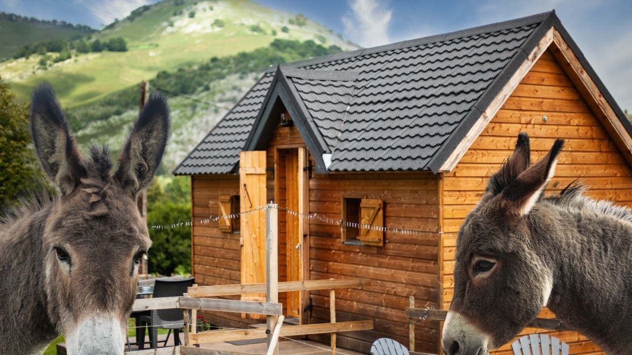 Photo of Outdoor in Segus