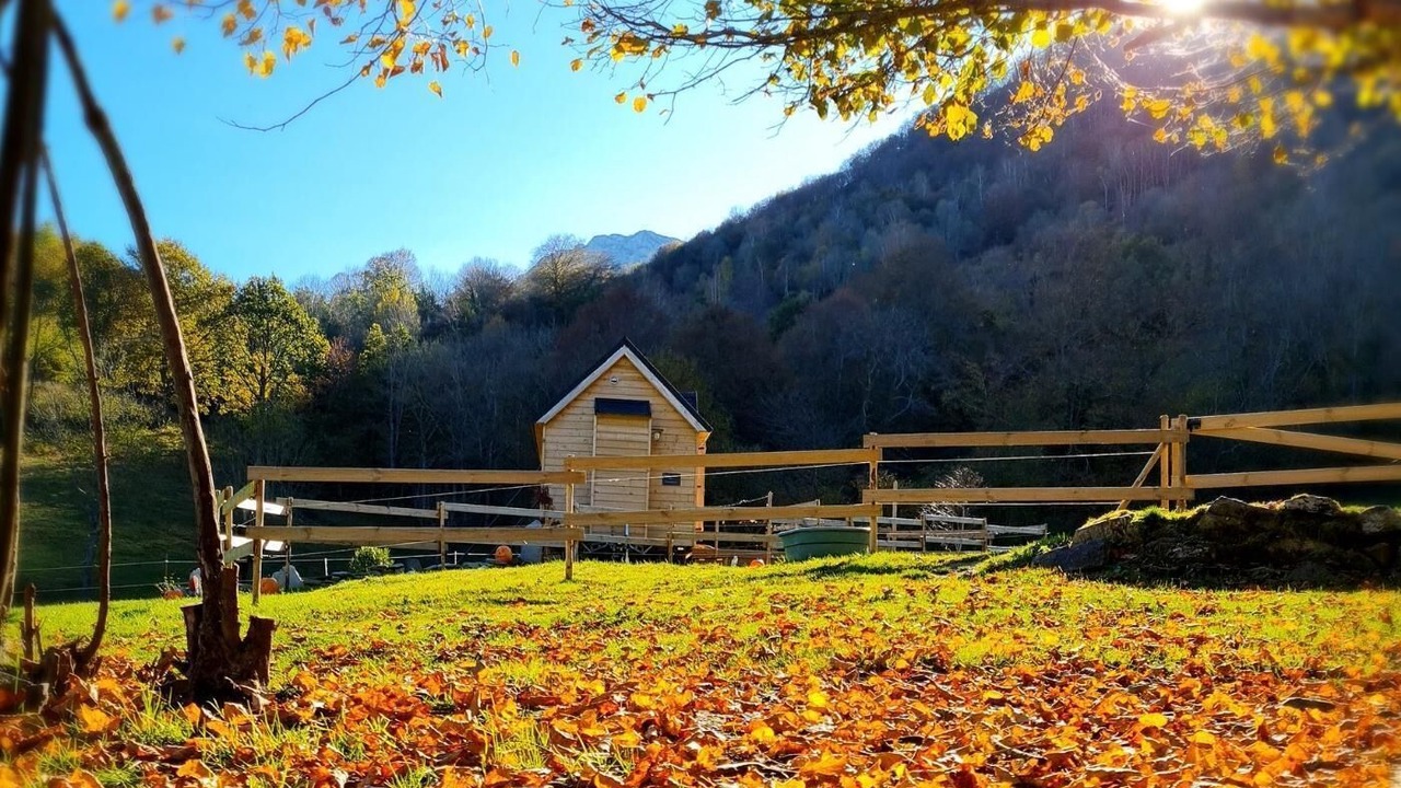 Photo of Outdoor in Segus