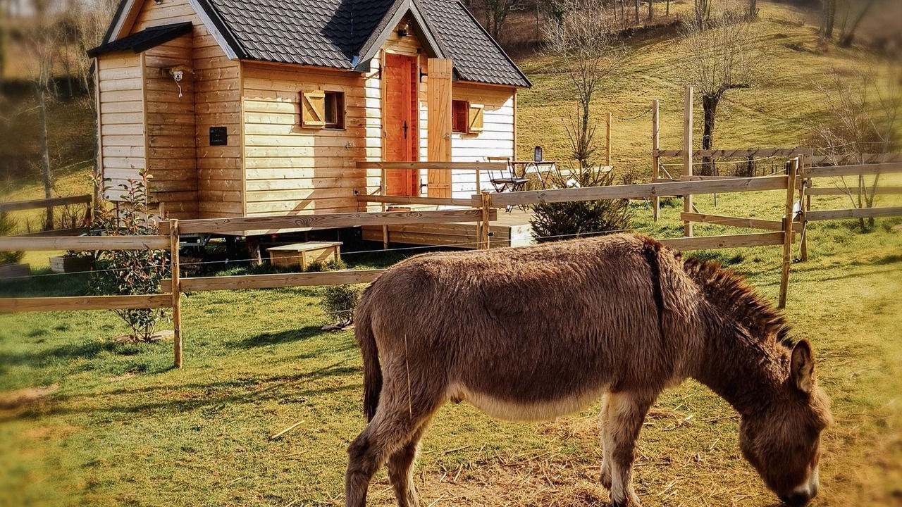 Photo of Outdoor in Segus