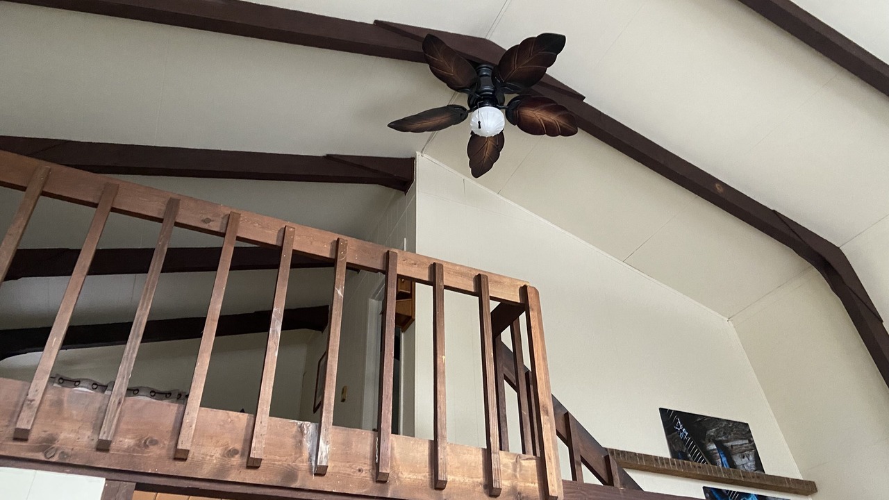 Photo of Others in Lake Ariel