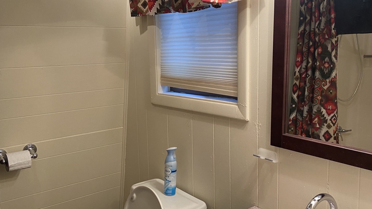 Photo of Bathroom in Lake Ariel