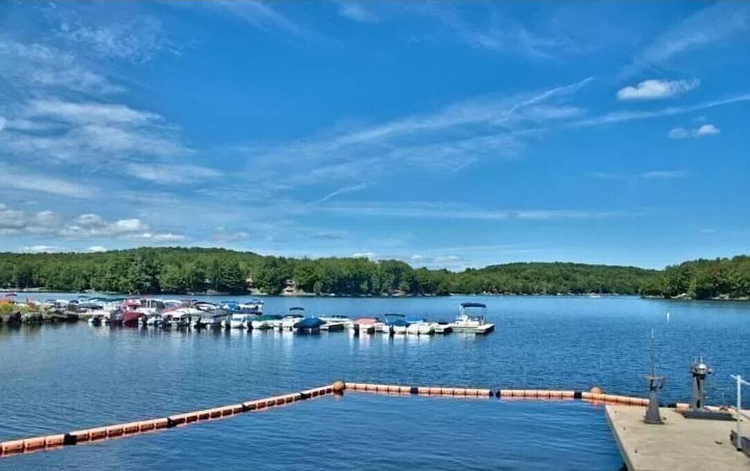 Photo of Others in Lake Ariel