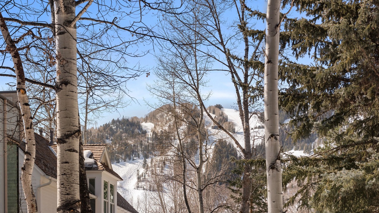 Photo of Others in Aspen