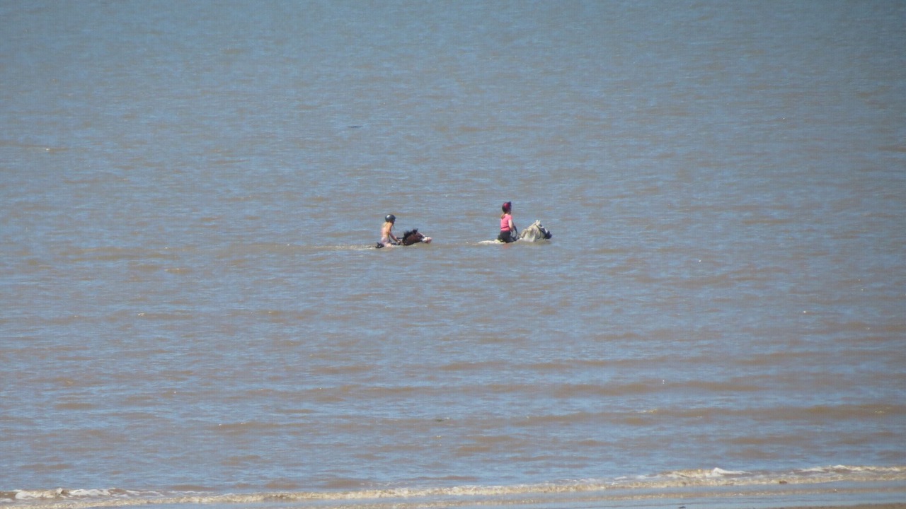 Photo of Others in Weston-super-Mare