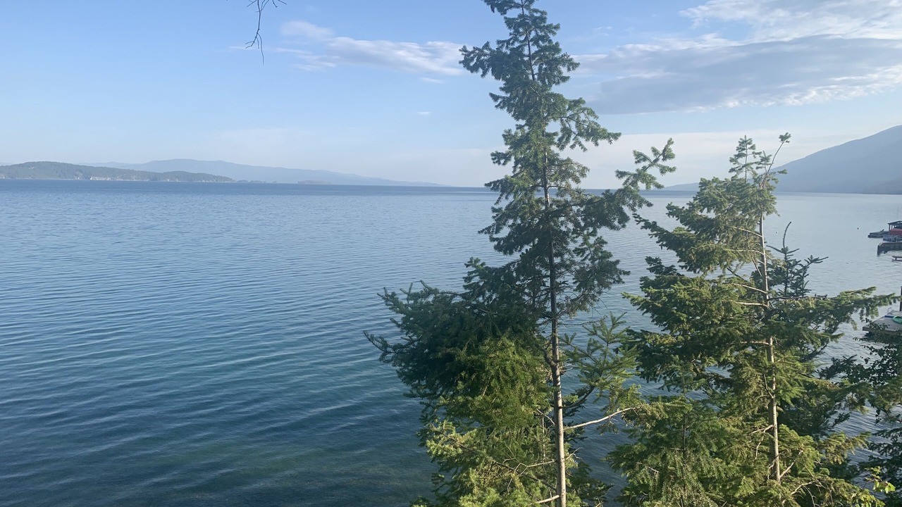 Photo of Others in Finley Point