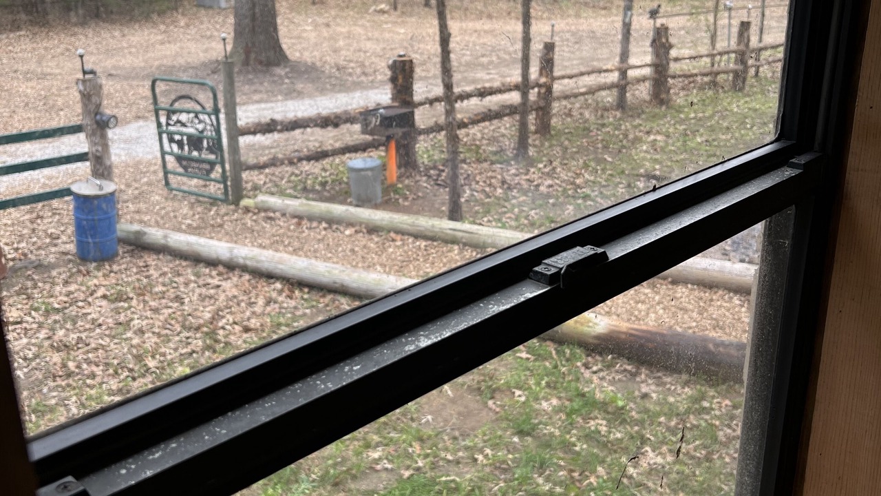 Photo of Others in Newnata
