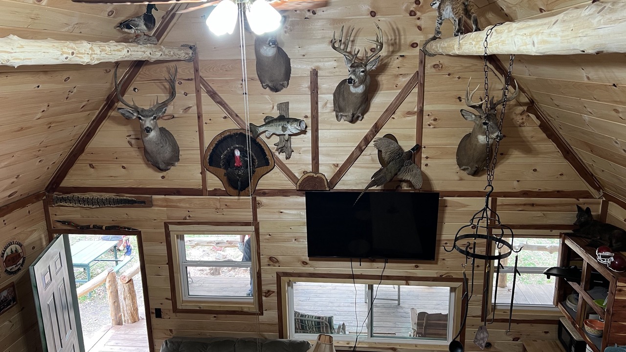 Photo of Livingroom in Newnata