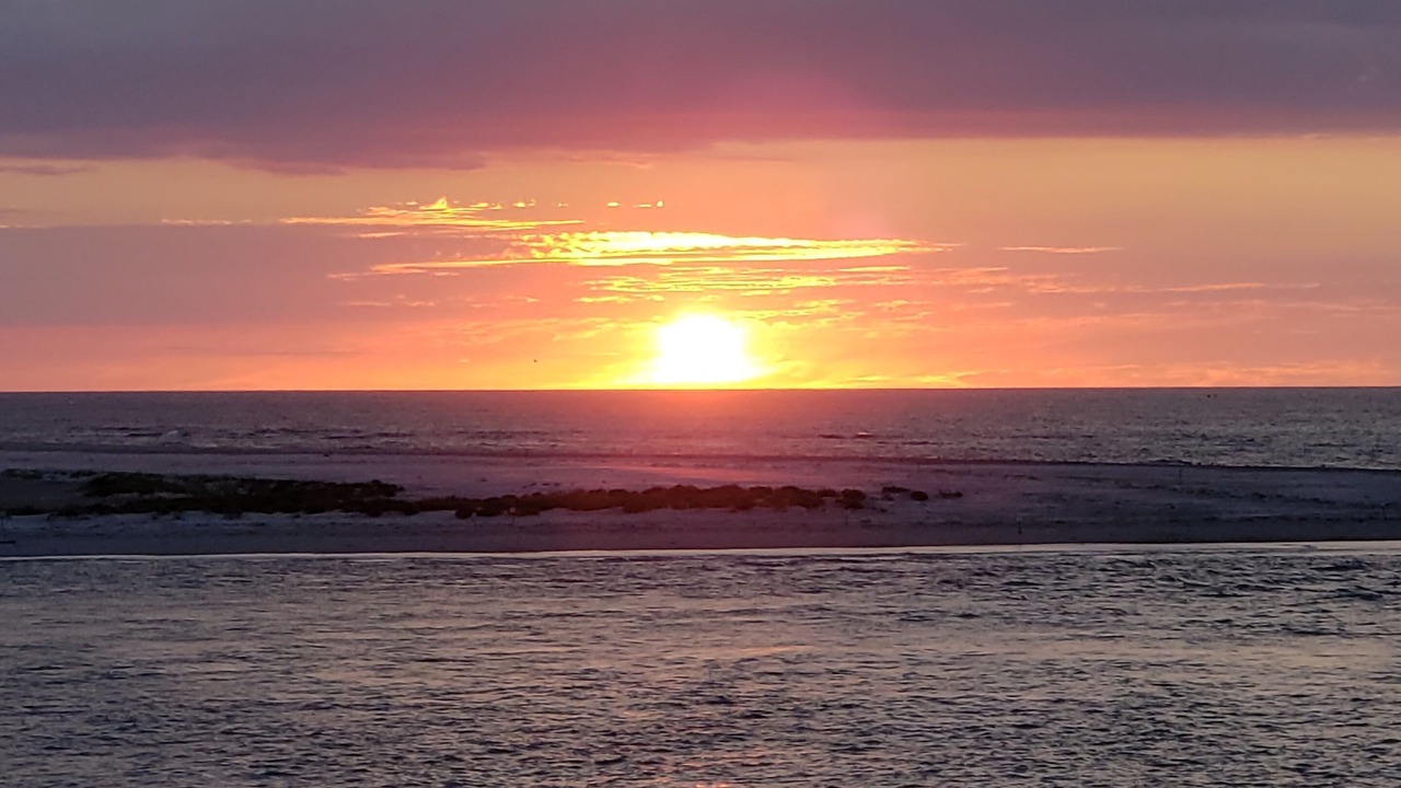 Photo of Others in Anglesea