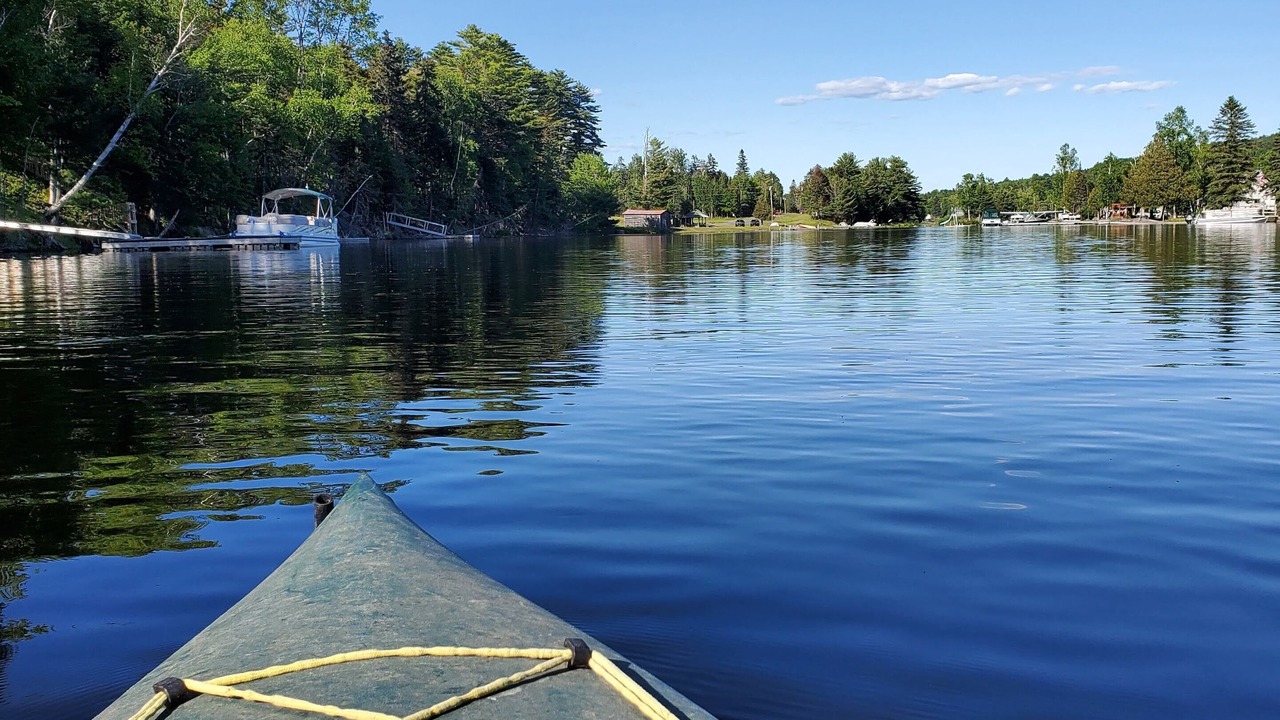Photo of Others in Northeast Somerset