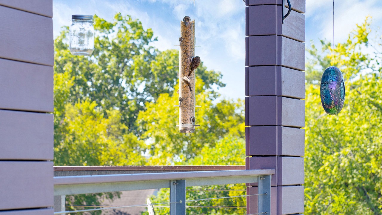 Photo of Outdoor in Northside