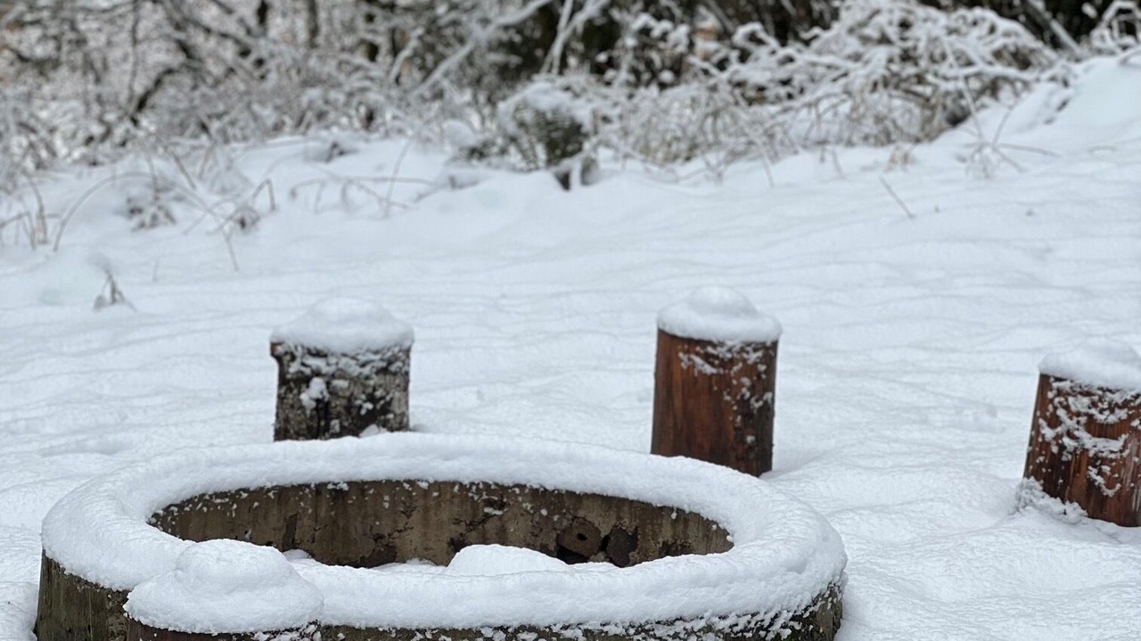 Photo of Outdoor in Ashford