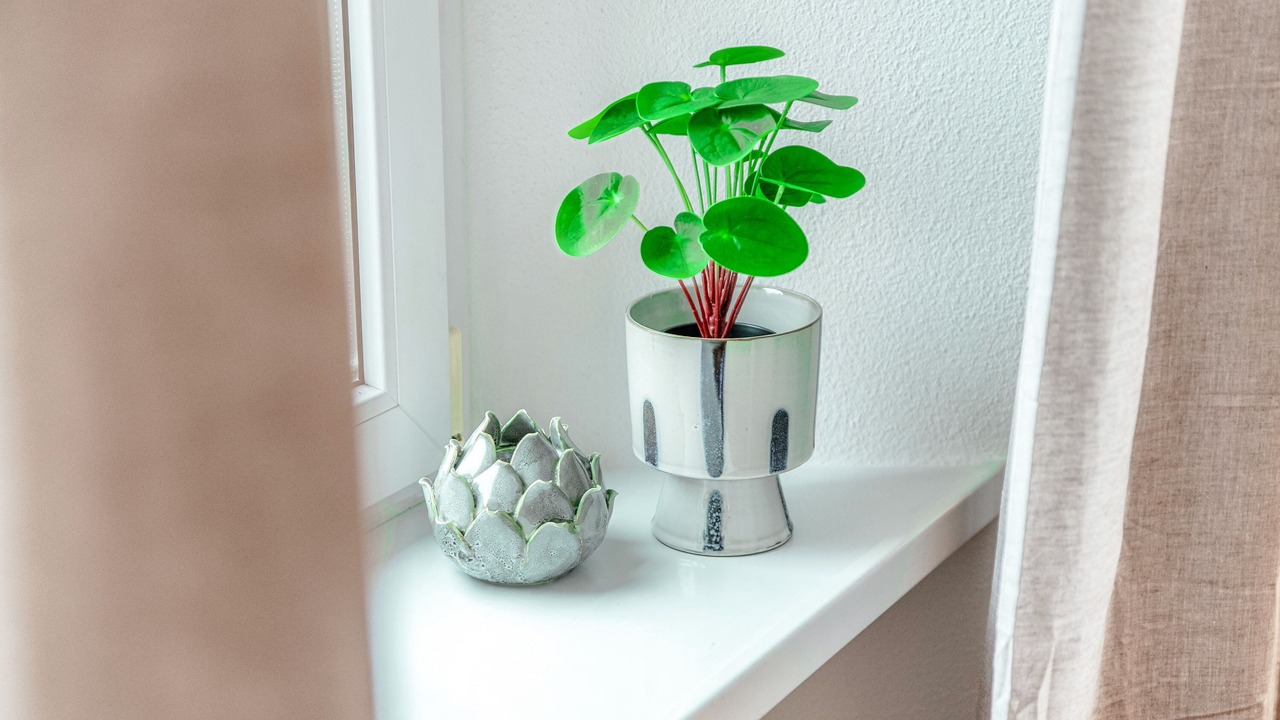 Photo of Livingroom in Mendrisio