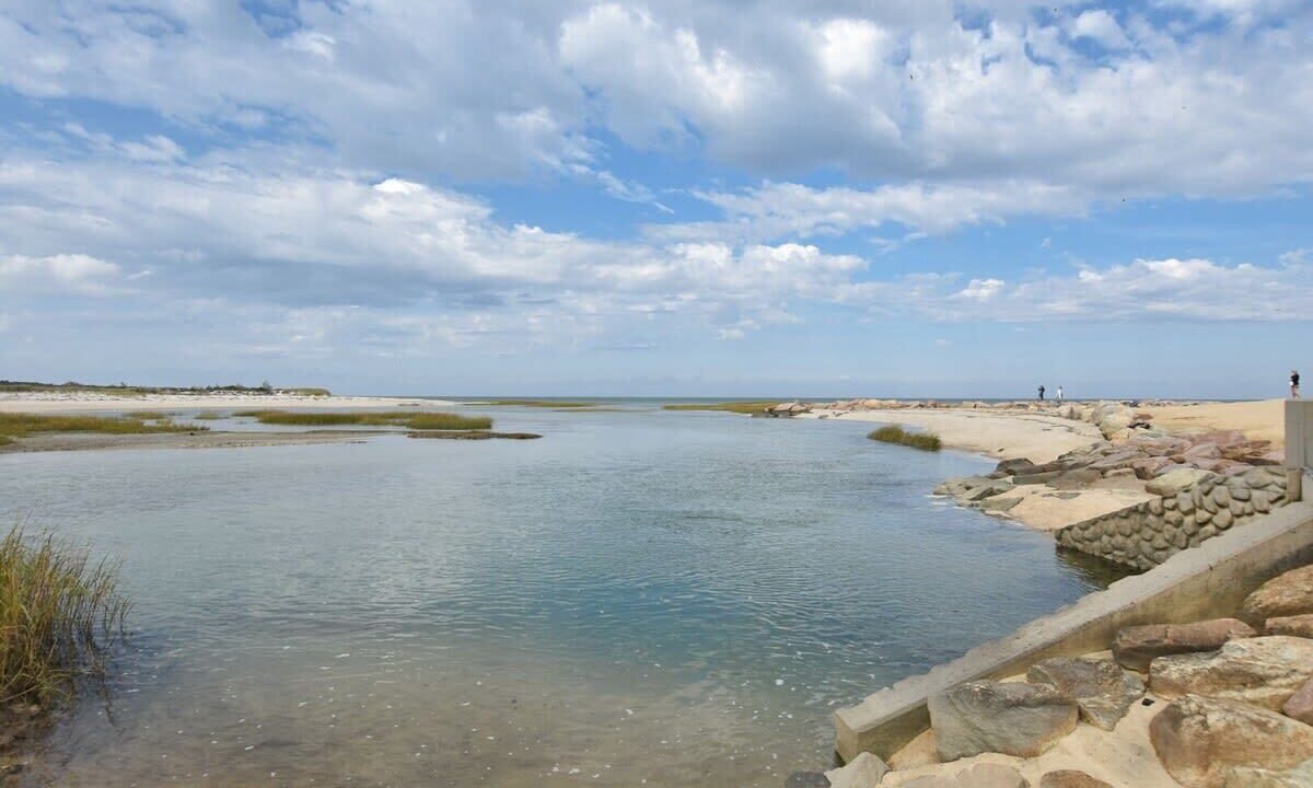 Photo of Others in Brewster