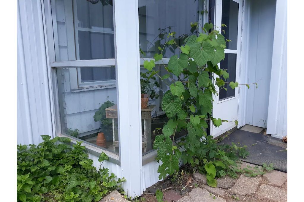Photo of Outdoor in Norwalk