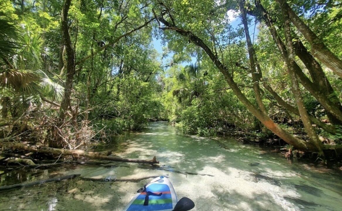 Photo of Others in Dunnellon