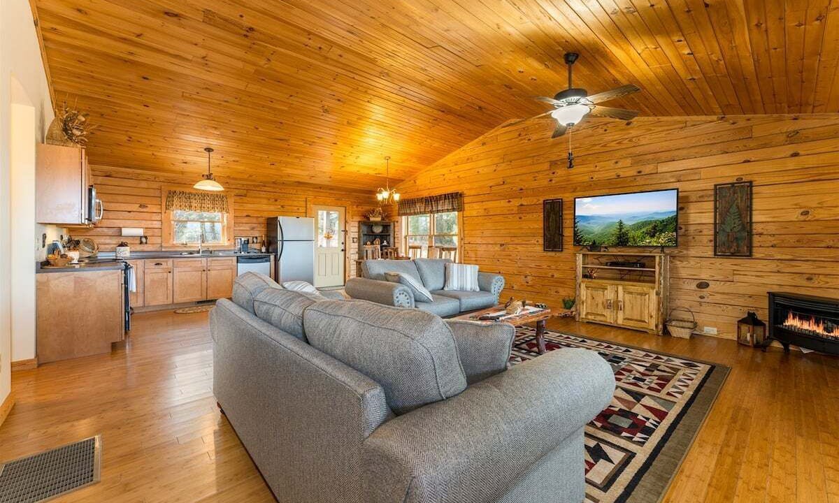 Photo of Livingroom in Hendersonville