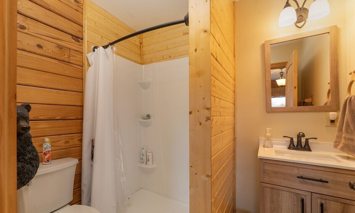 Photo of Bathroom in Hendersonville