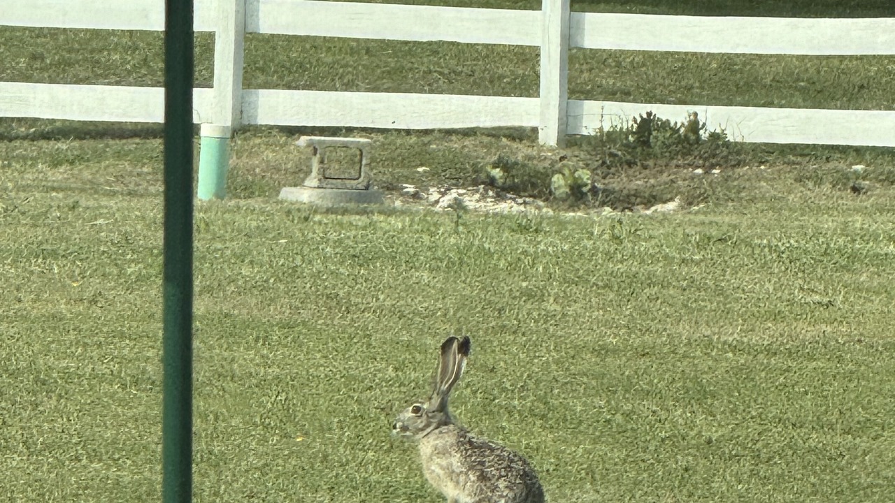 Photo of Others in Bertram