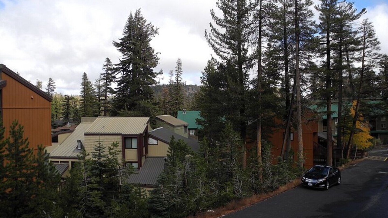 Photo of Others in Mammoth Lakes