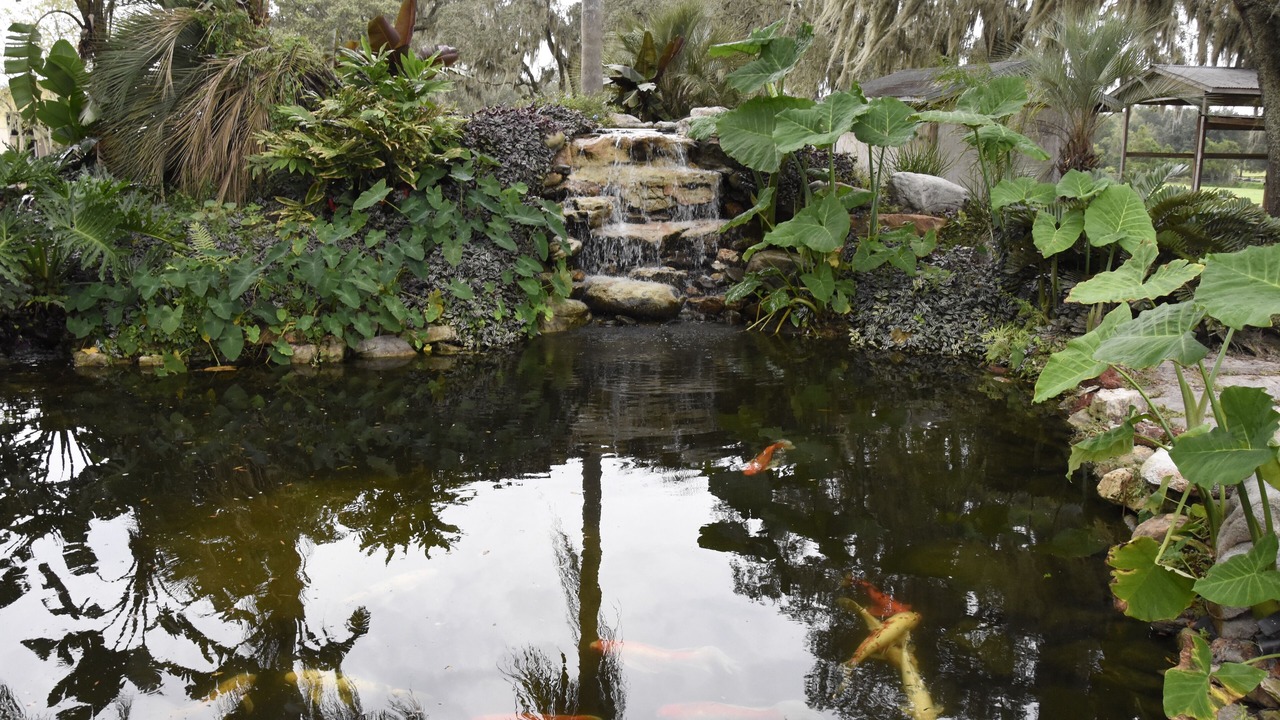 Photo of Outdoor in Fairvilla