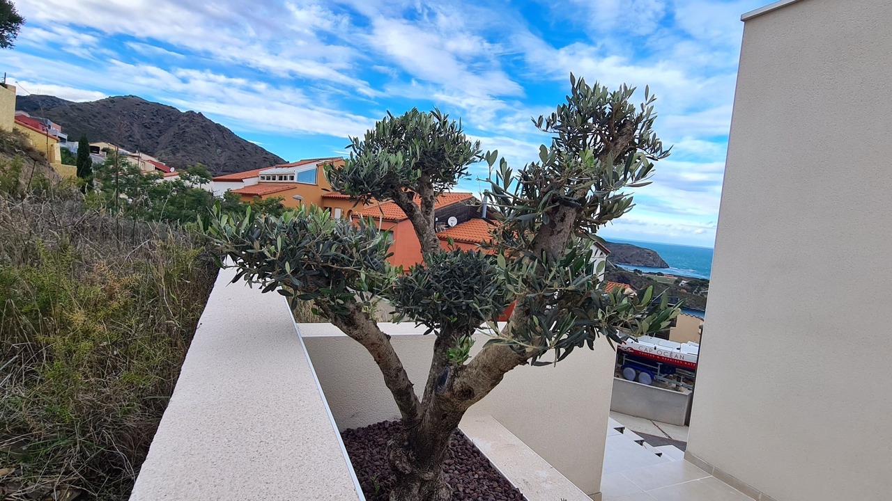 Photo of Outdoor in Cerbere