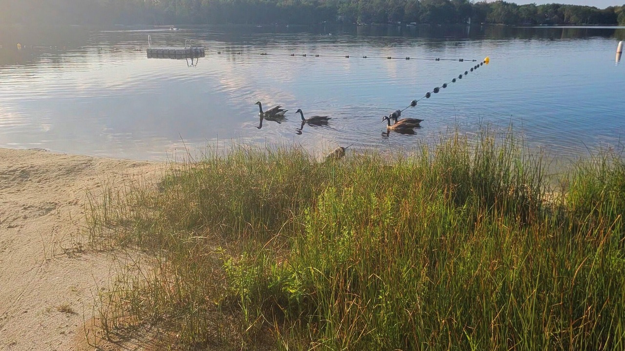 Photo of Others in Pocono Summit