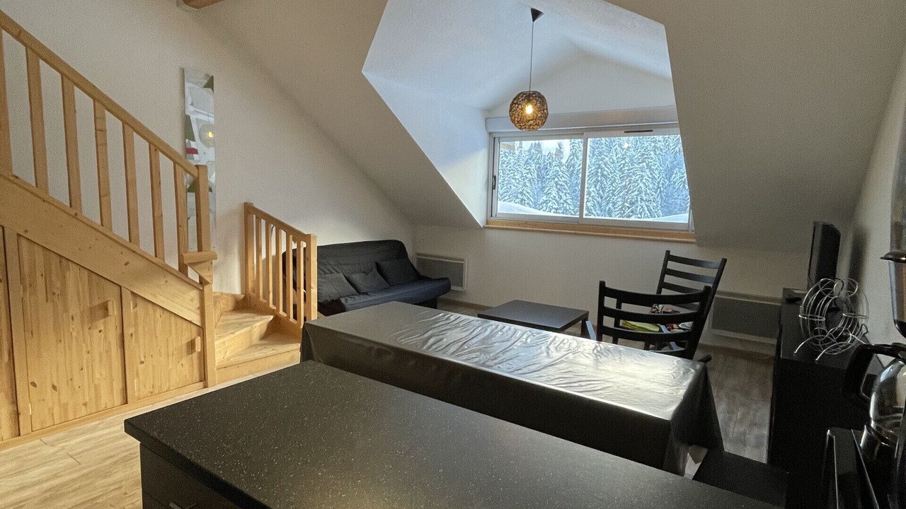 Photo of Livingroom in Laveissiere