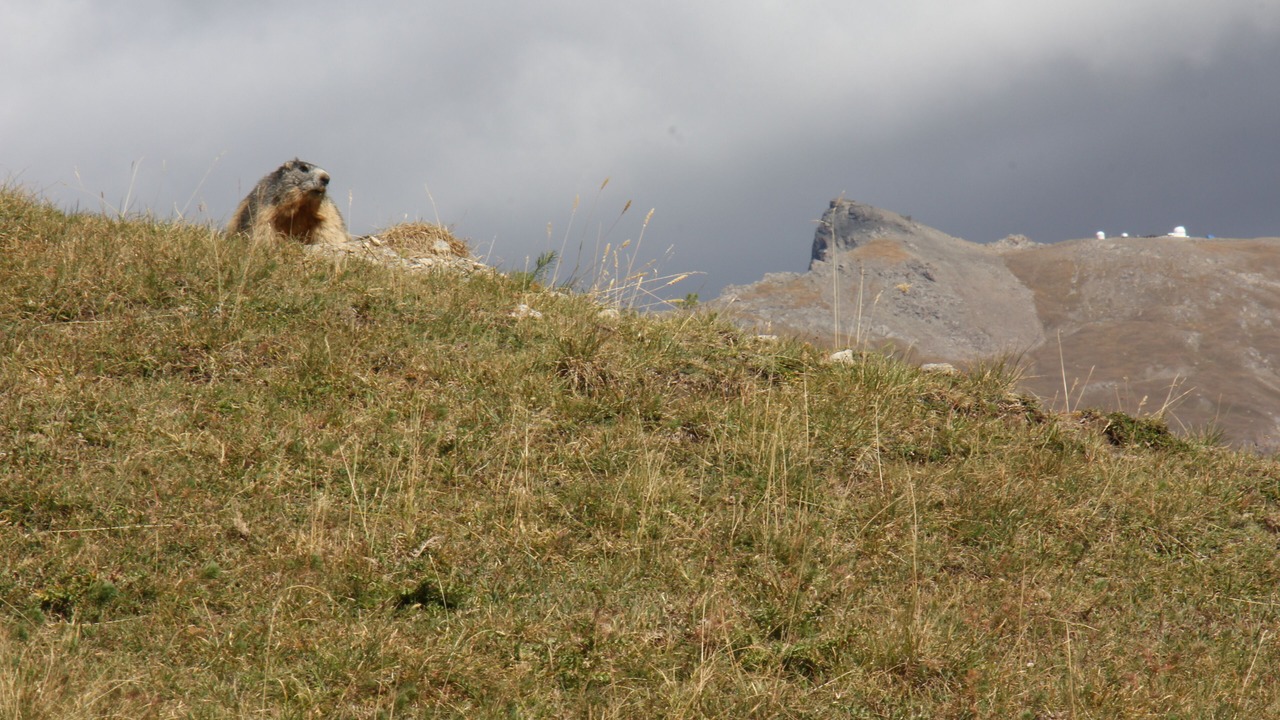 Photo of Others in Saint-Veran