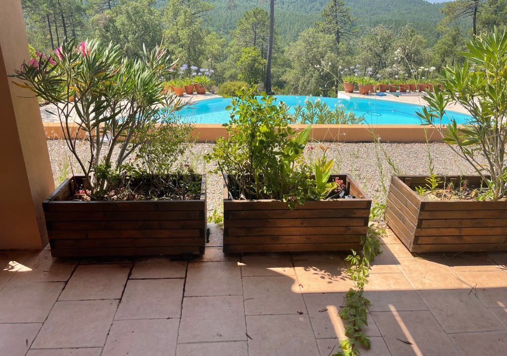 Photo of Outdoor in Le Muy