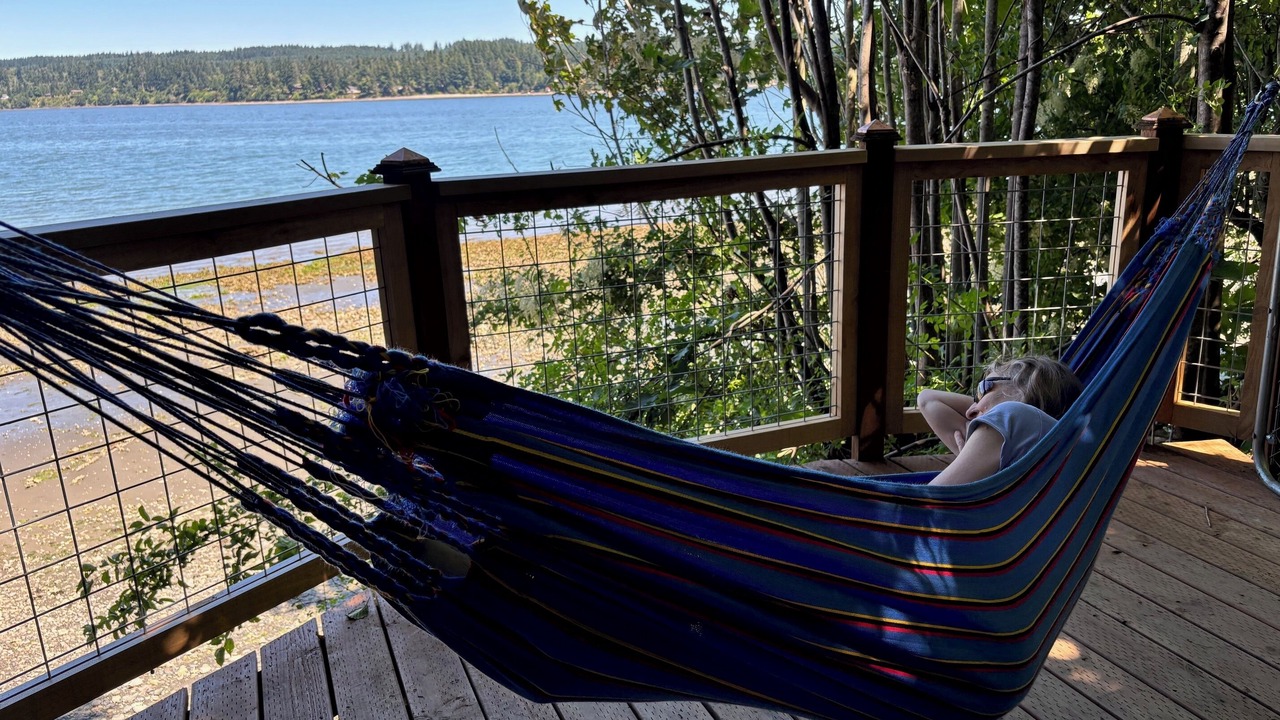 Photo of Others in Kingston