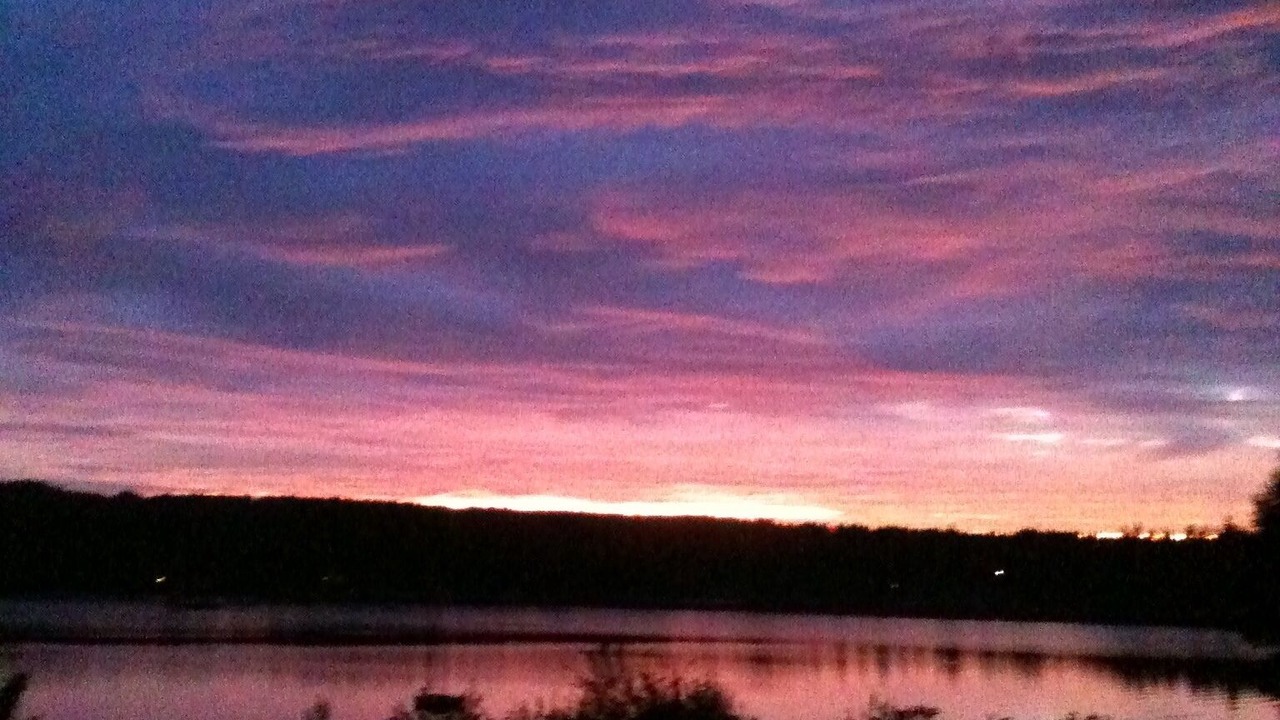 Photo of Others in Kingston