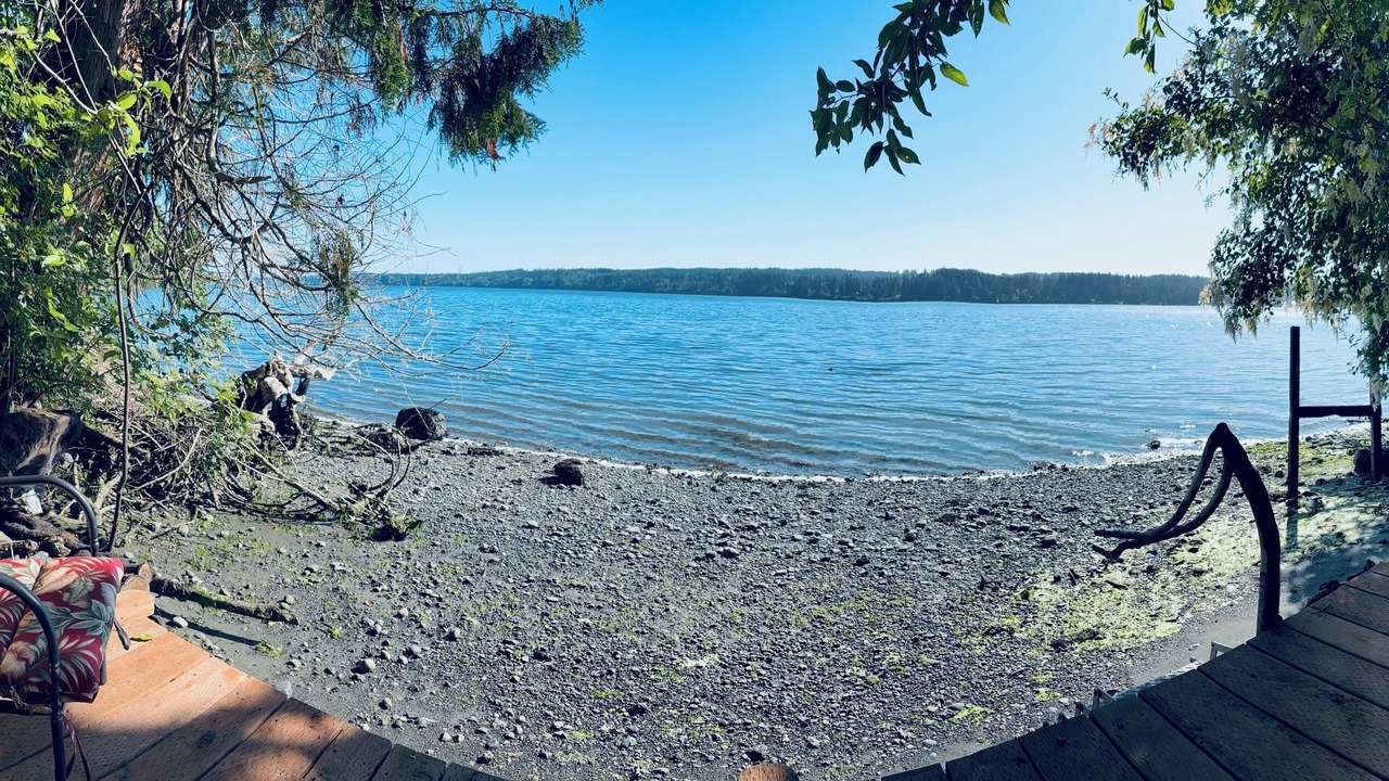 Photo of Others in Kingston