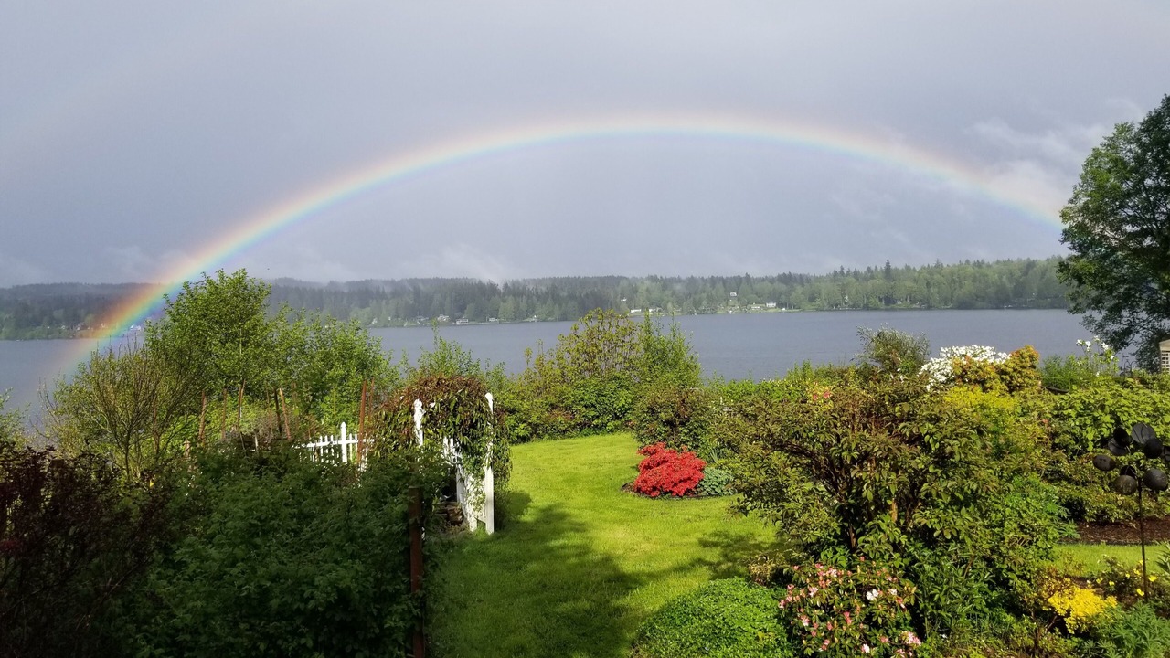 Photo of Others in Kingston