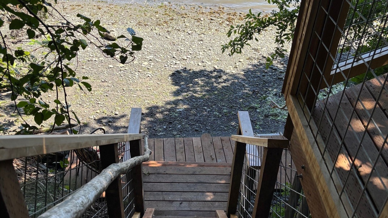 Photo of Others in Kingston